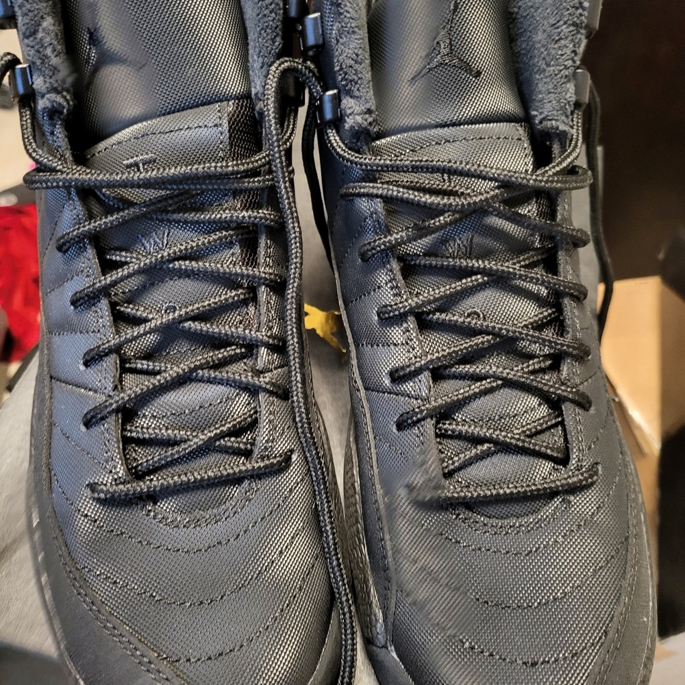 Jordan Retro 12